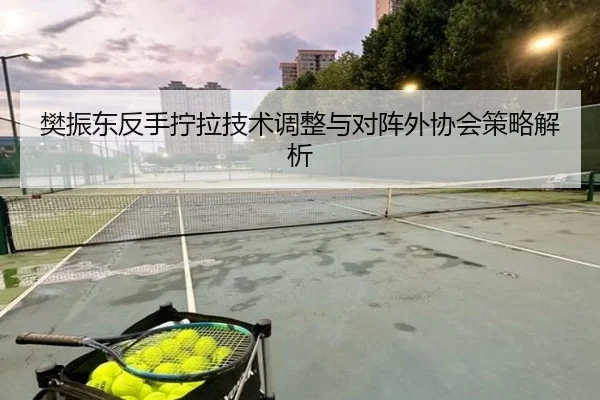 樊振东反手拧拉技术调整与对阵外协会策略解析