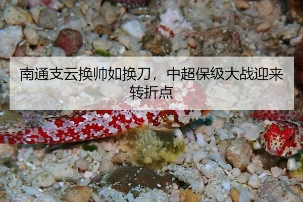 南通支云换帅如换刀，中超保级大战迎来转折点