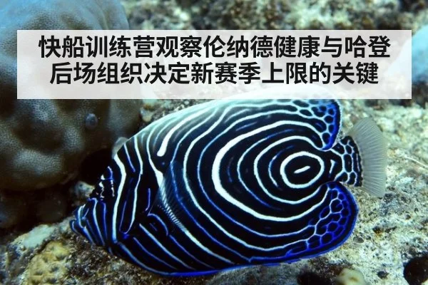 快船训练营观察伦纳德健康与哈登后场组织决定新赛季上限的关键